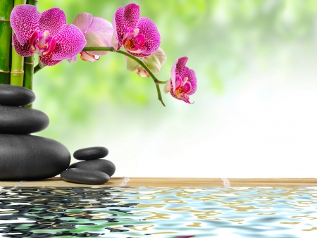 Pierres zen et orchidées symbolisant la sérénité et le bien-être